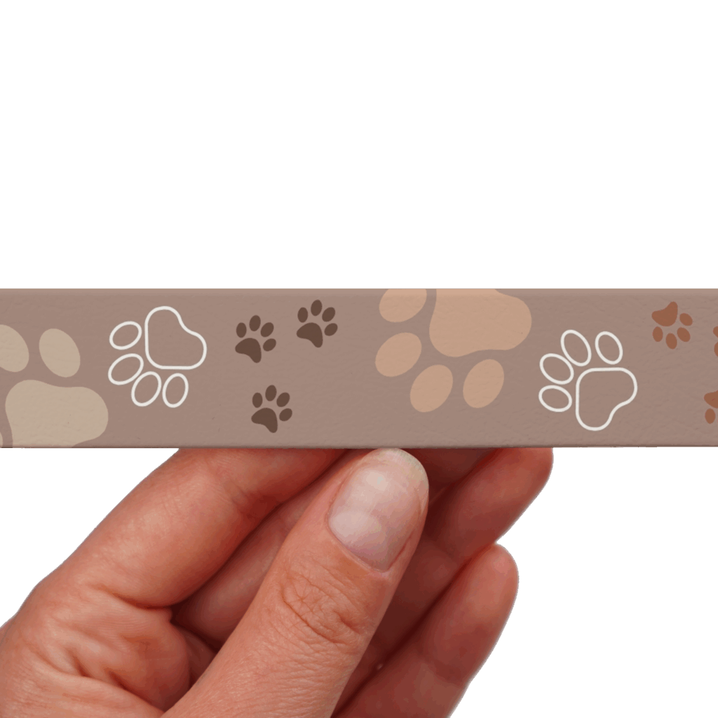 paws 2 – ze zmianami