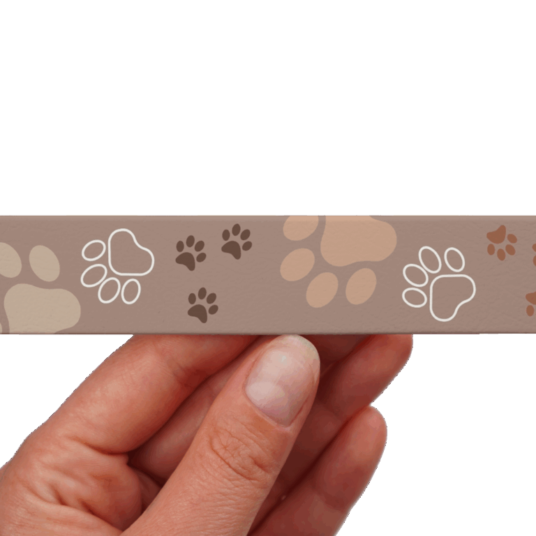 paws 2 – ze zmianami